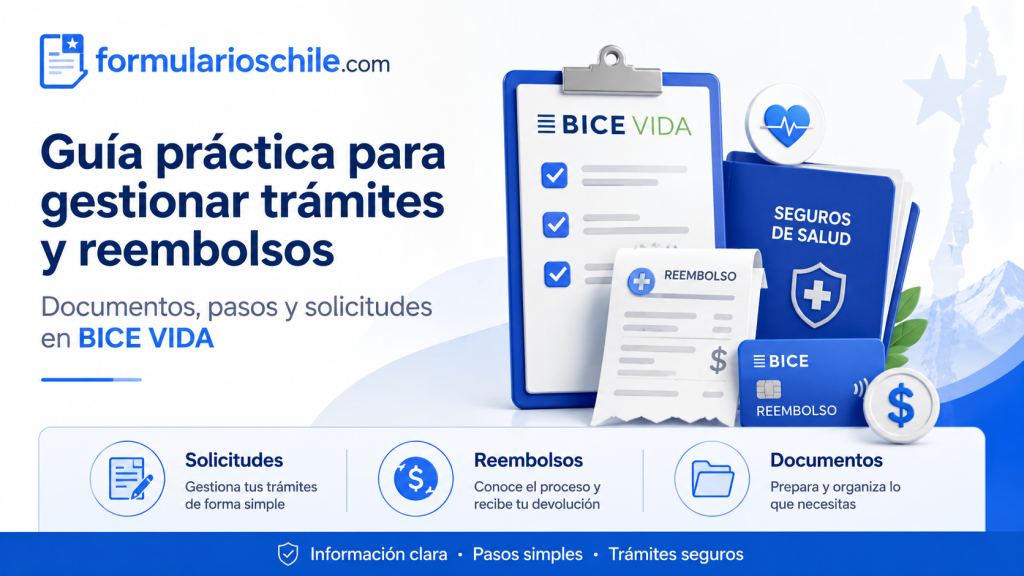 Bice Vida formularios