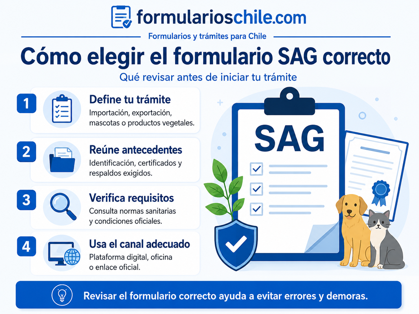 Requisitos para importaciones y productos que ingresan a Chile