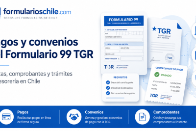 Formulario 99 TGR